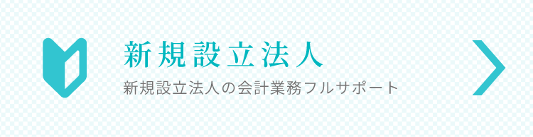 新規設立法人