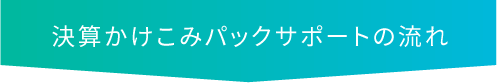 決算かけこみパックサポートの流れ